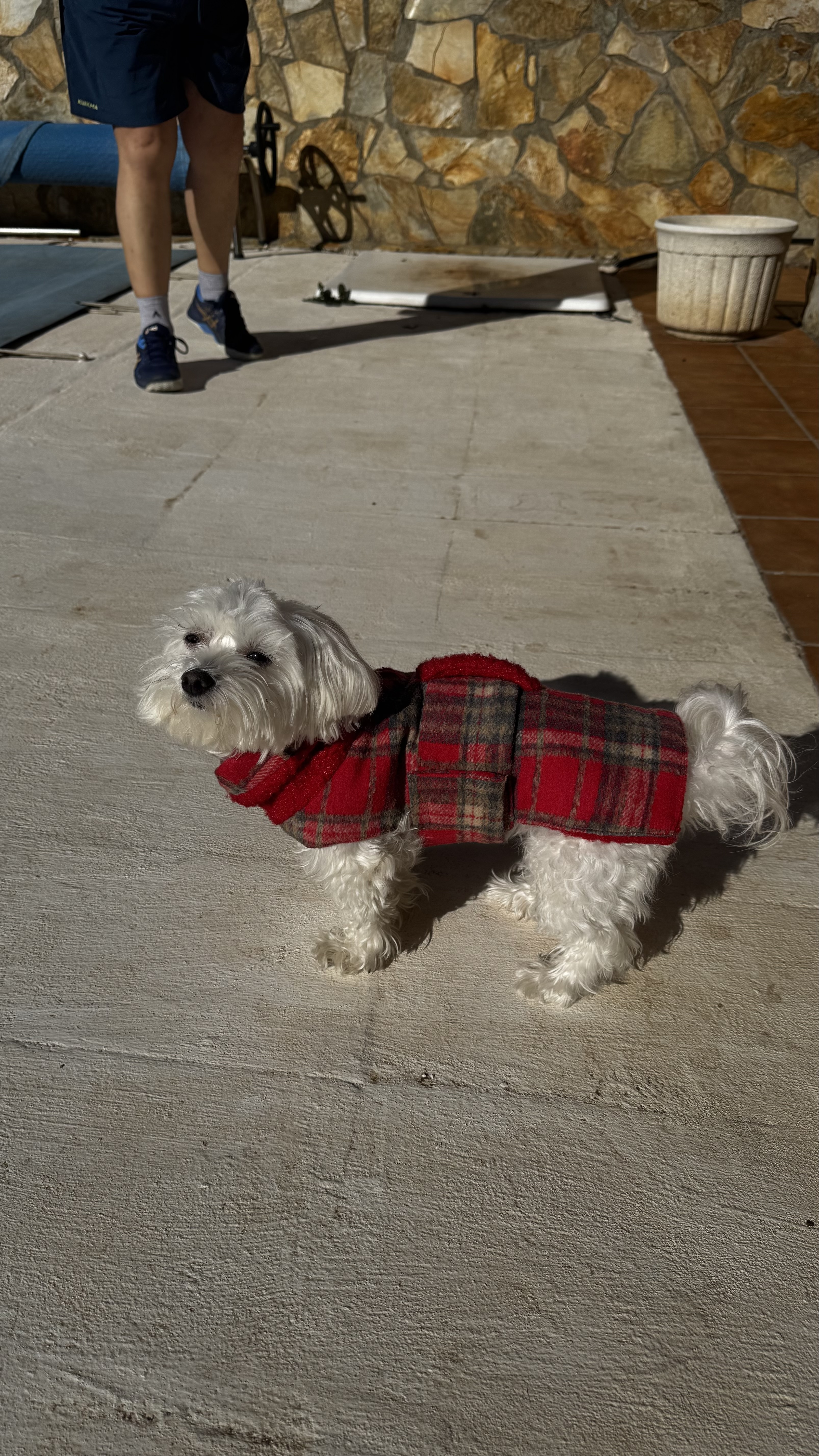 Chloe wearing luxury coat