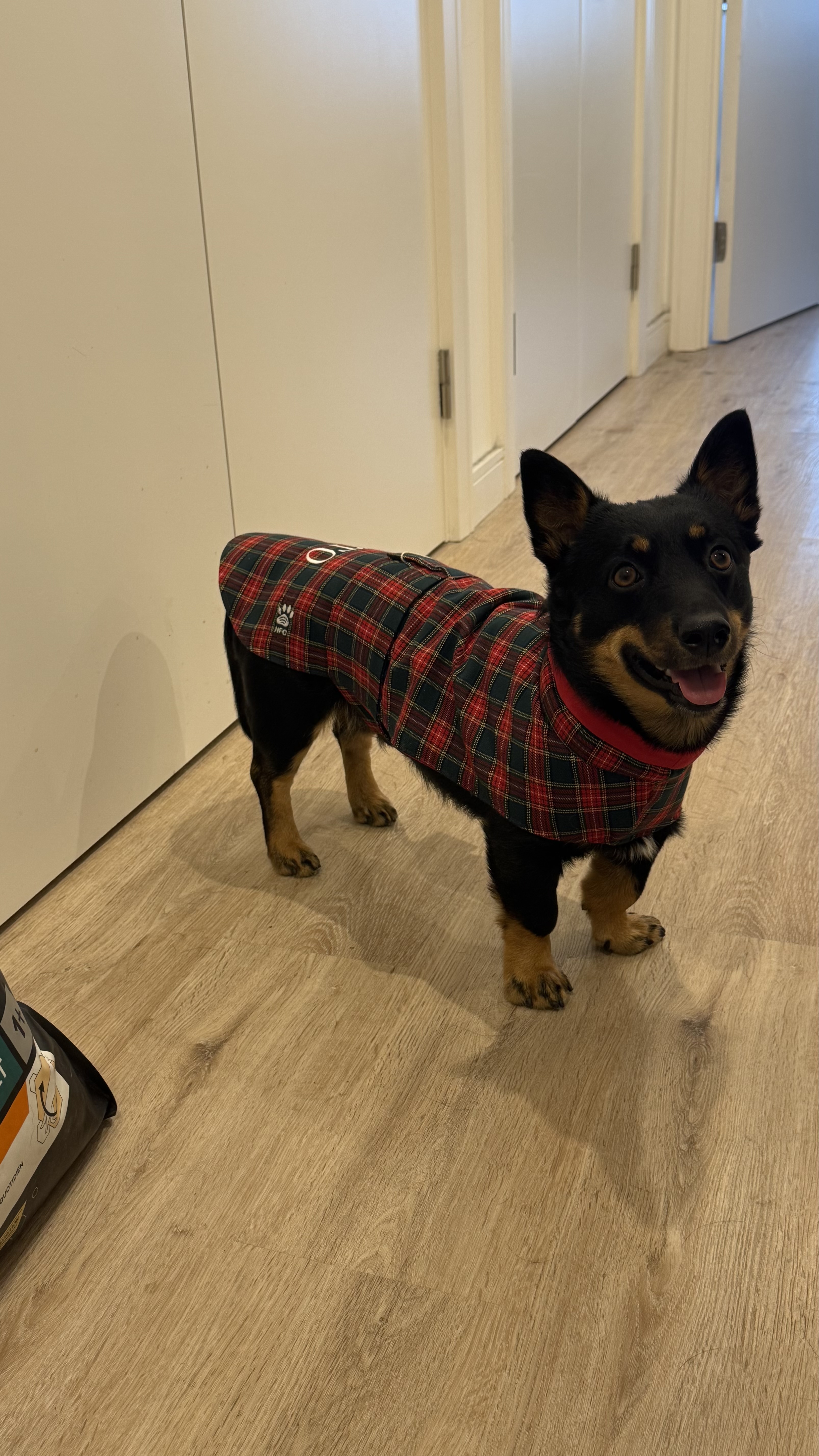 Presto wearing luxury coat