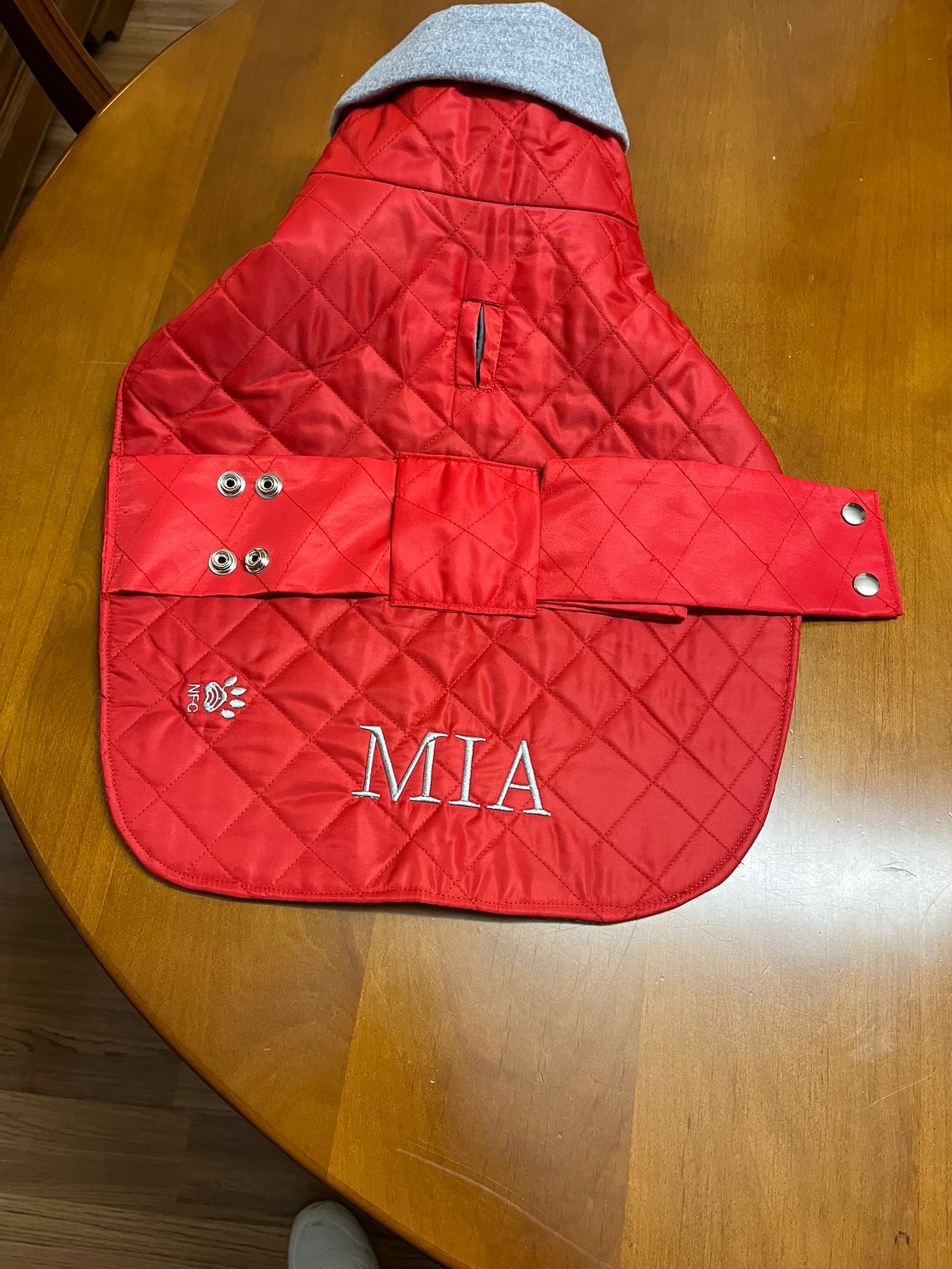 Luxury Red waterproof dog coat with lining